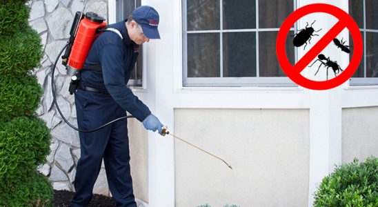 Çandarlı Fare İlaçlama böcek ilaçlama ve haşere kontrolü — ilaclama-tr.com